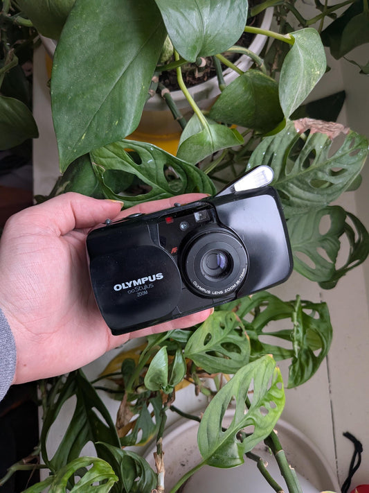 Olympus Infinity Stylus Zoom | µ[mju:] | 35-70mm Zoom Lens | Compact 35mm Film Camera