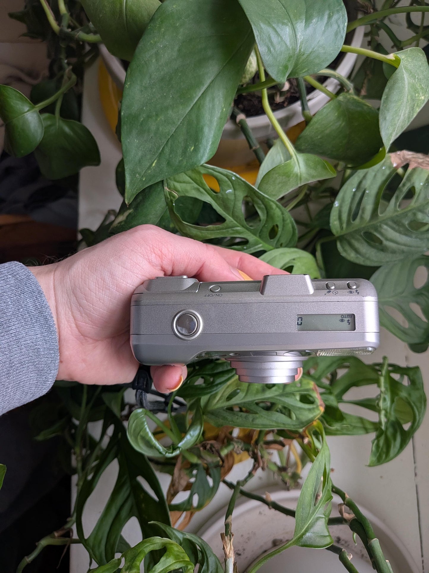 Minolta Freedom Zoom 115 | Classic 35mm Point & Shoot Film Camera | Beginner Friendly !