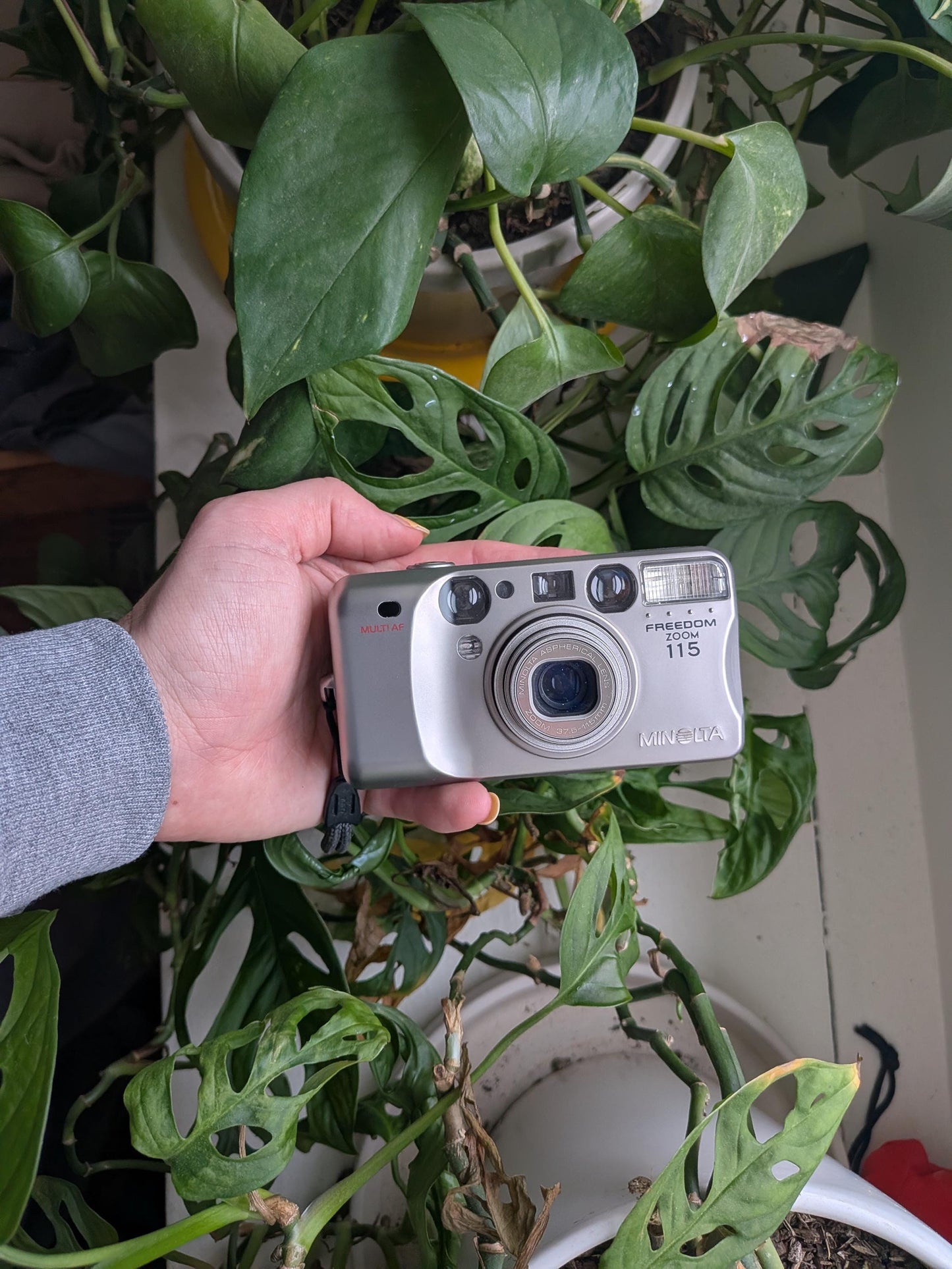 Minolta Freedom Zoom 115 | Classic 35mm Point & Shoot Film Camera | Beginner Friendly !