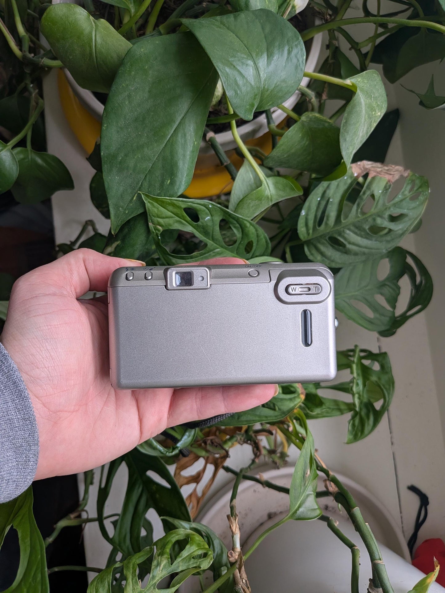 Minolta Freedom Zoom 115 Date | Classic 35mm Point & Shoot Film Camera | Beginner Friendly !