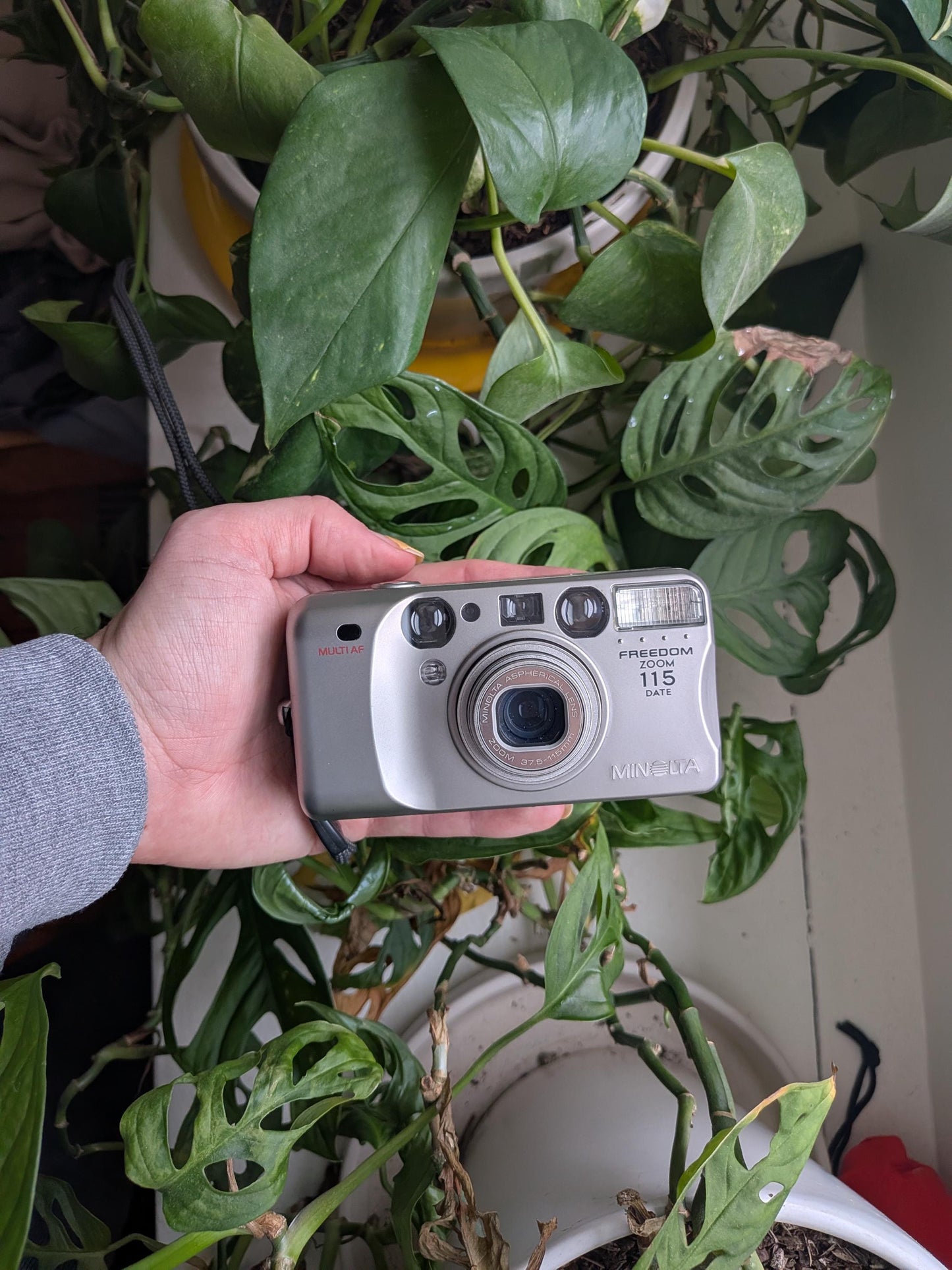 Minolta Freedom Zoom 115 Date | Classic 35mm Point & Shoot Film Camera | Beginner Friendly !