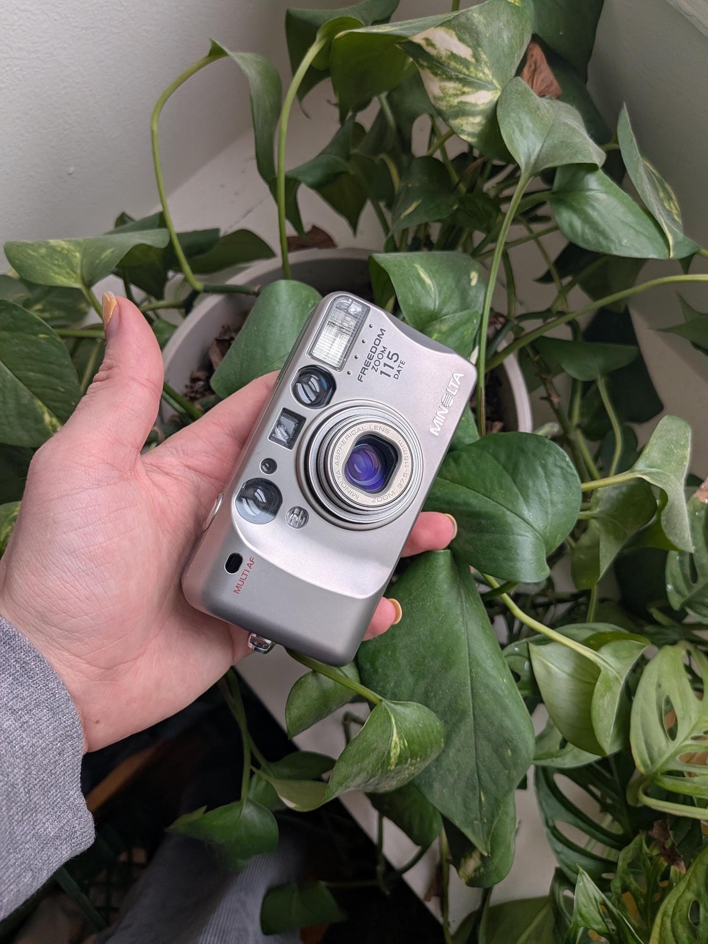 Minolta Freedom Zoom 115 Date | Classic 35mm Point & Shoot Film Camera | Beginner Friendly !