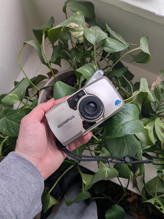 Olympus Stylus Zoom 70 35mm Film Camera | Compact Point and Shoot