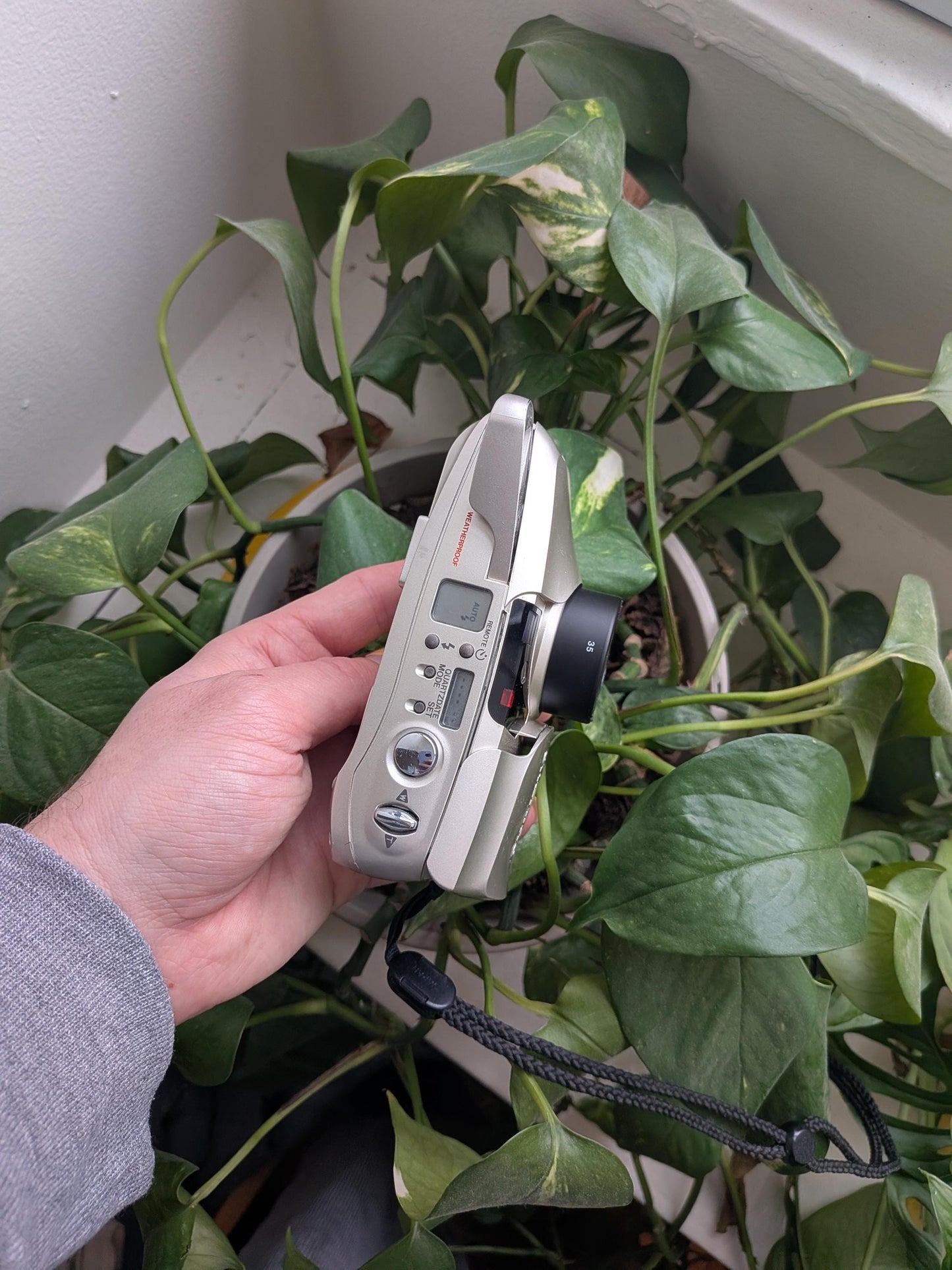 Olympus Stylus Zoom 70 35mm Film Camera | Compact Point and Shoot