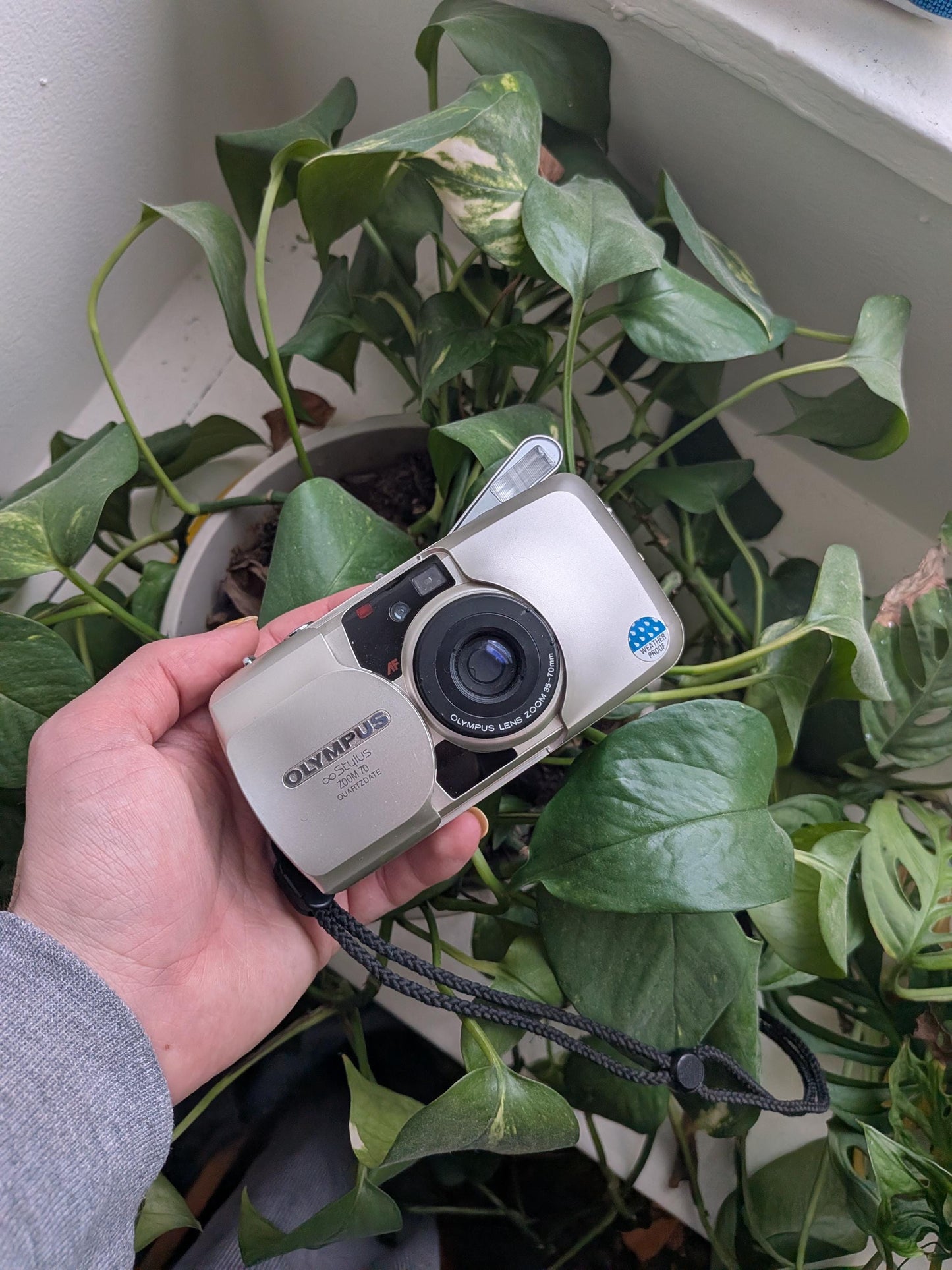 Olympus Stylus Zoom 70 35mm Film Camera | Compact Point and Shoot