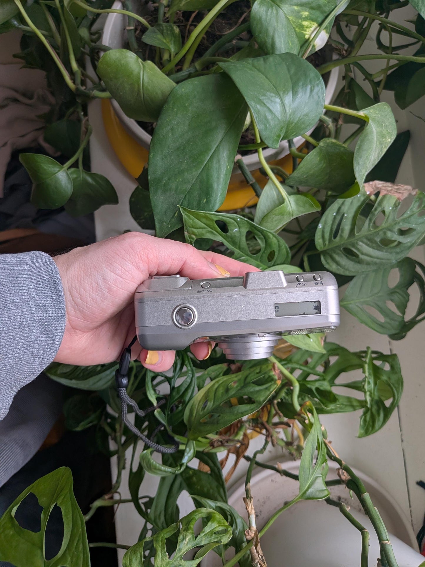 Minolta Freedom Zoom 115 Date | Classic 35mm Point & Shoot Film Camera | Beginner Friendly !