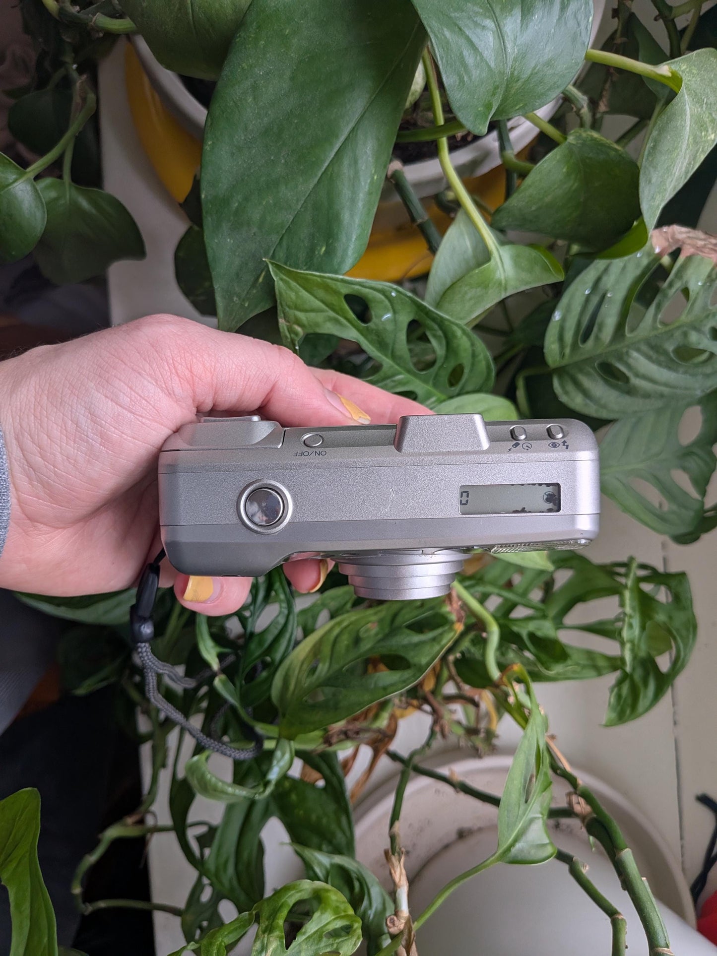 Minolta Freedom Zoom 115 Date | Classic 35mm Point & Shoot Film Camera | Beginner Friendly !