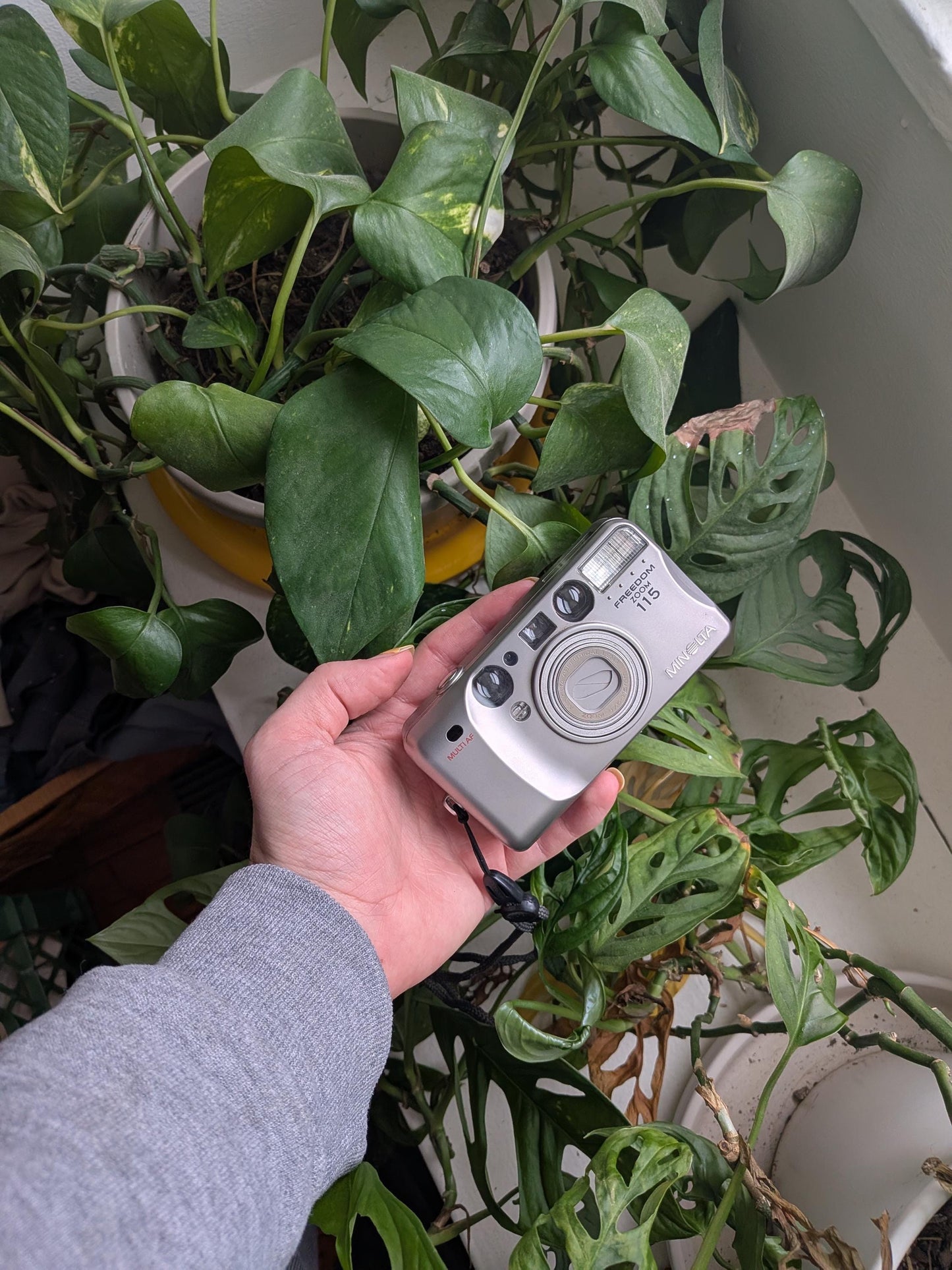 Minolta Freedom Zoom 115 Date | Classic 35mm Point & Shoot Film Camera | Beginner Friendly !