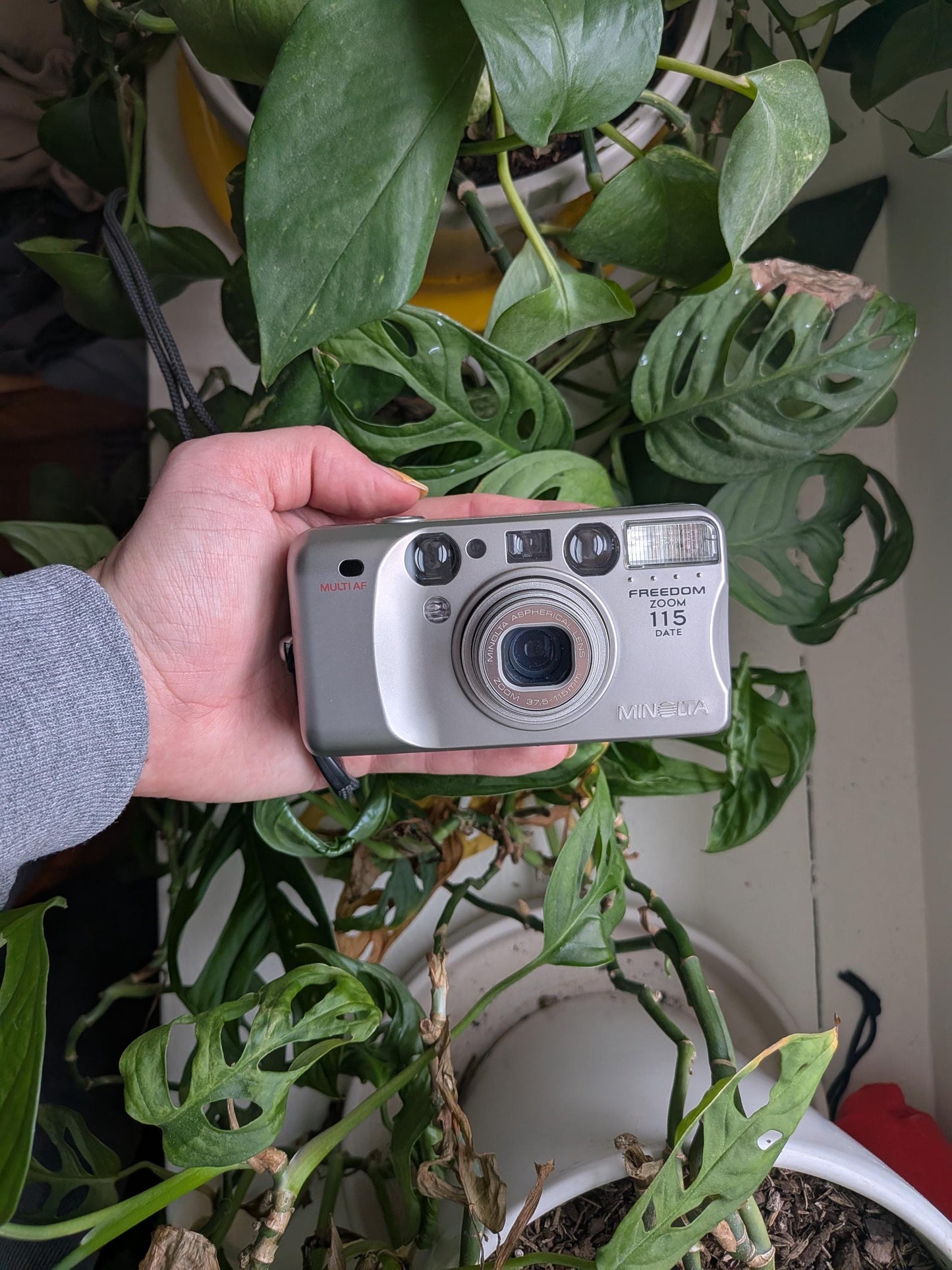 Minolta Freedom Zoom 115 Date | Classic 35mm Point & Shoot Film Camera | Beginner Friendly !