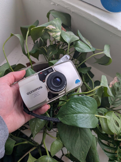 Olympus Stylus Zoom 70 35mm Film Camera | Compact Point and Shoot